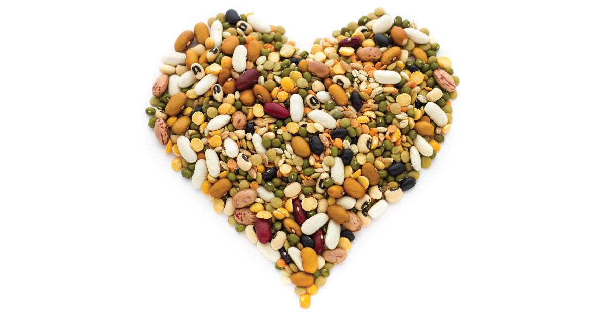 Why We Need Cholesterol