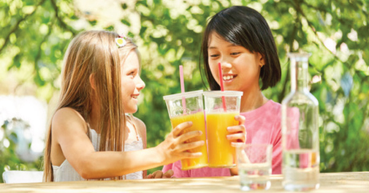 Pasop vir Sogenaamde “Gesonde” Kosse