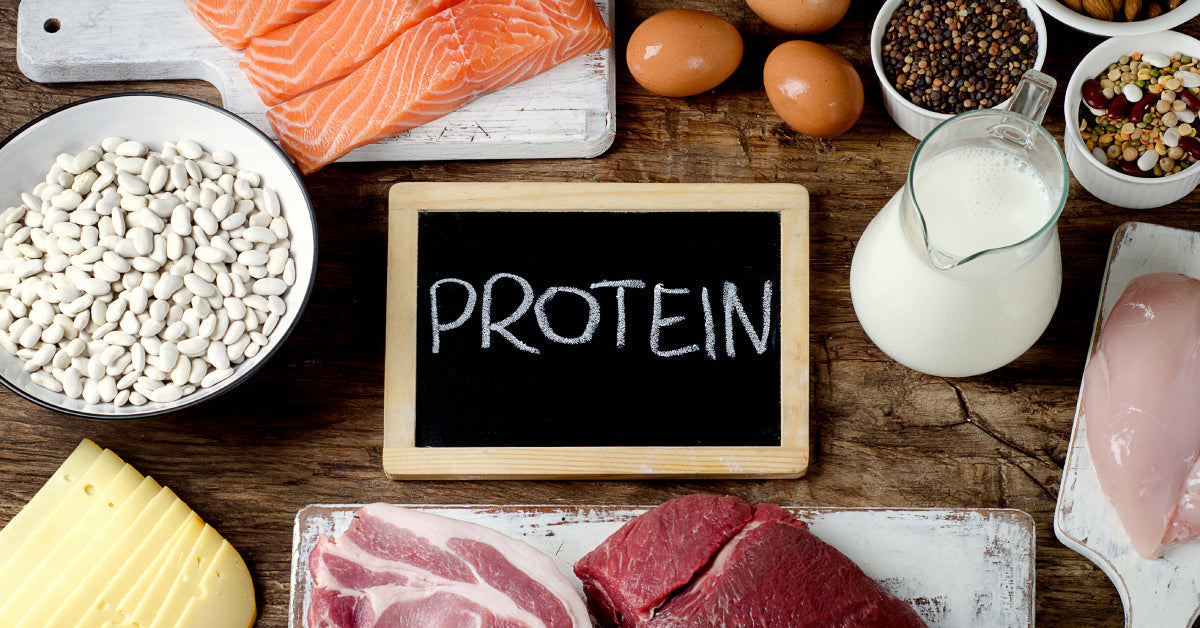 Does High-Protein Help With Weight Loss?