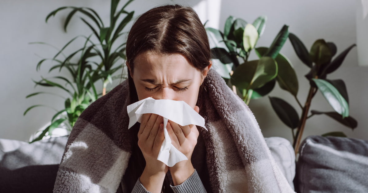 Beat the Bug: Strengthen Your Defences Naturally