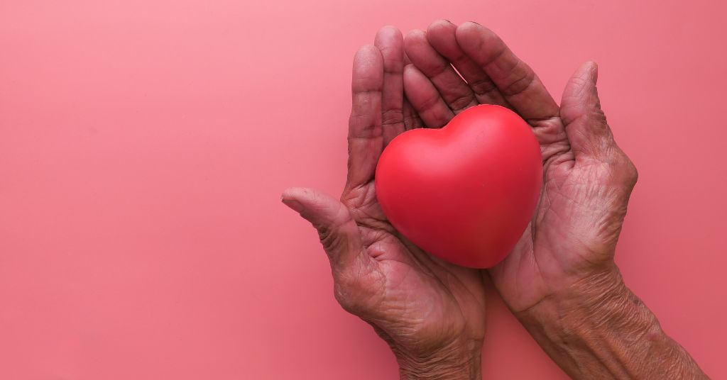 The Connection Between Blood Circulation and Heart Health: What You Need to Know