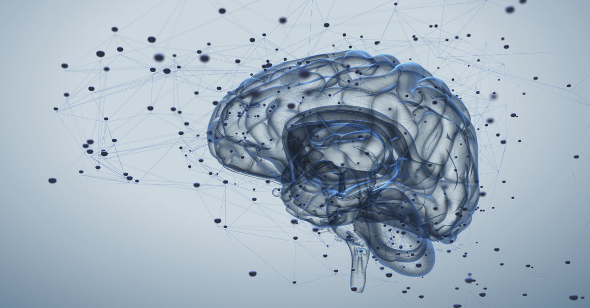 How High Blood Sugar Can Damage Your Brain