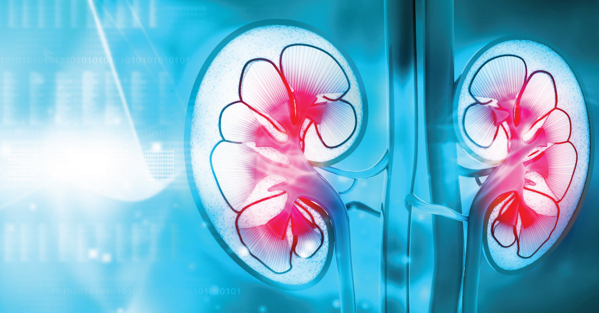 How To Treat Diabetic Kidney Disease