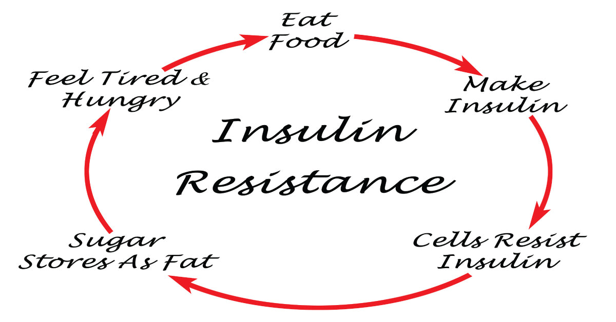 The Effect Of Estrogen On Insulin Resistance
